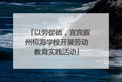 以劳促德，宜宾叙州樟海学校开展劳动教育实践活动